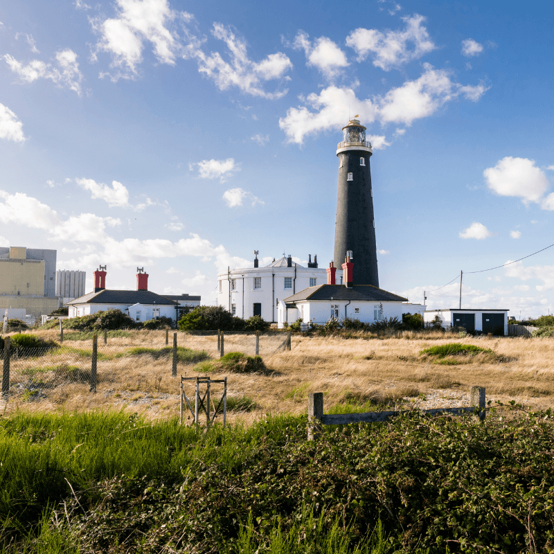 Dungeness