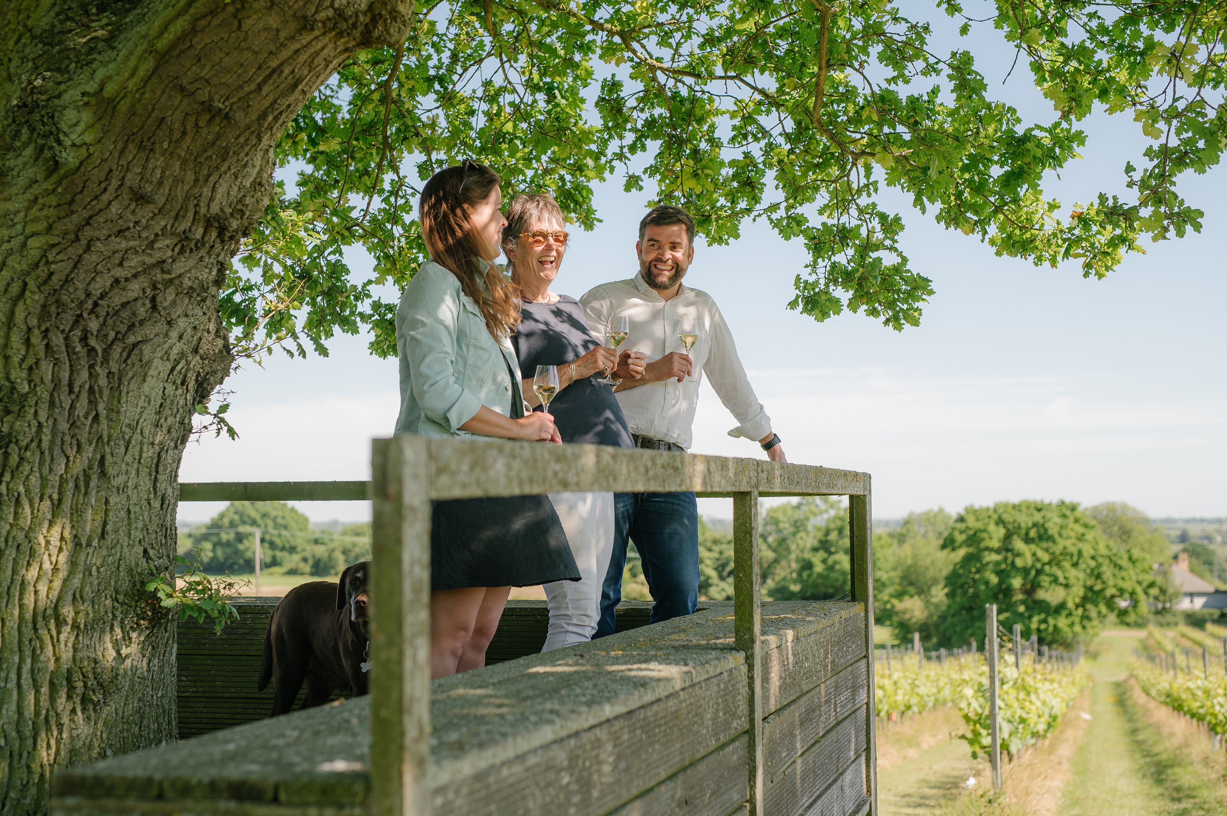 Gusbourne Tour And Tasting