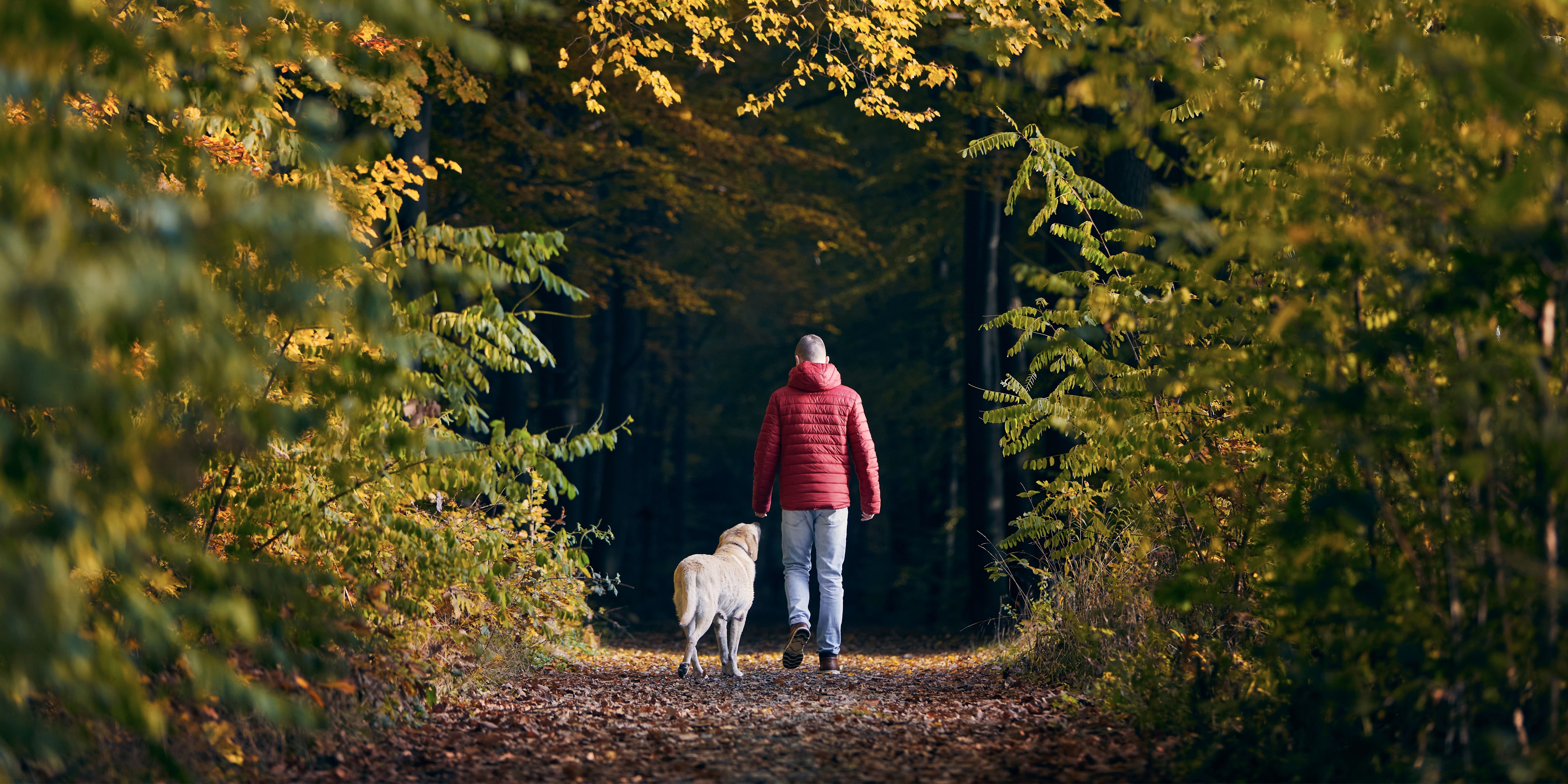 Cranbrook Walk