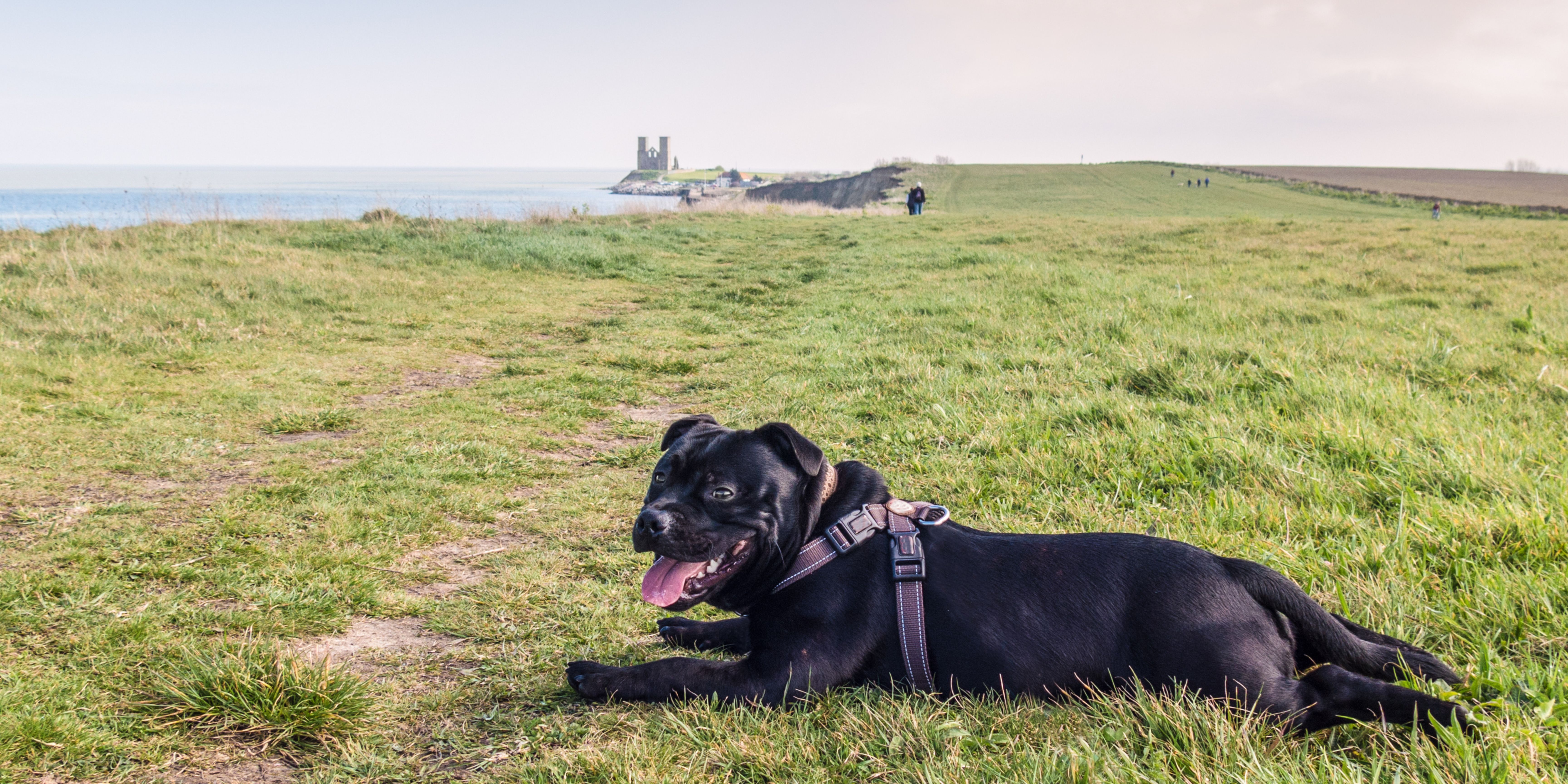 Reculver