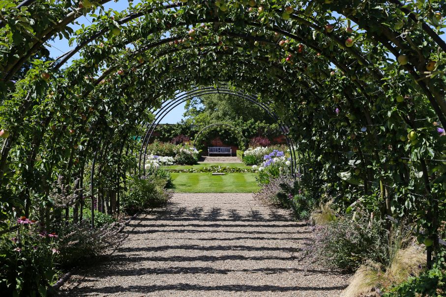belmont-garden-2017-1.jpg