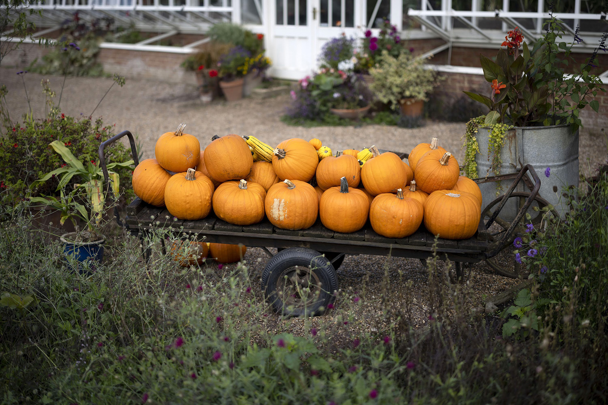 2022 10 Stack Of Pumpkins In The Walled Garden Oliver Neale (Sept24)