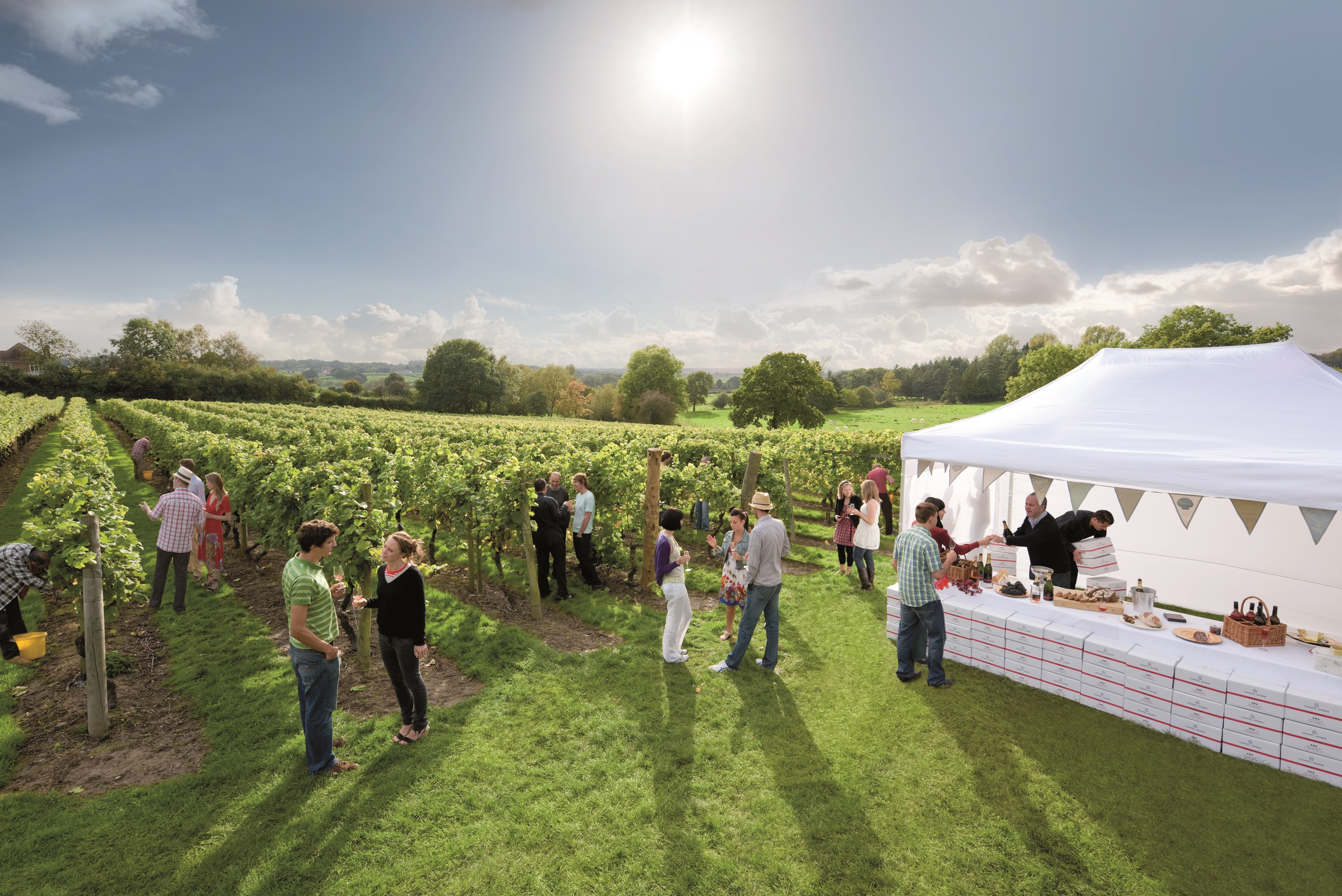 chapeldown-marquee.jpg