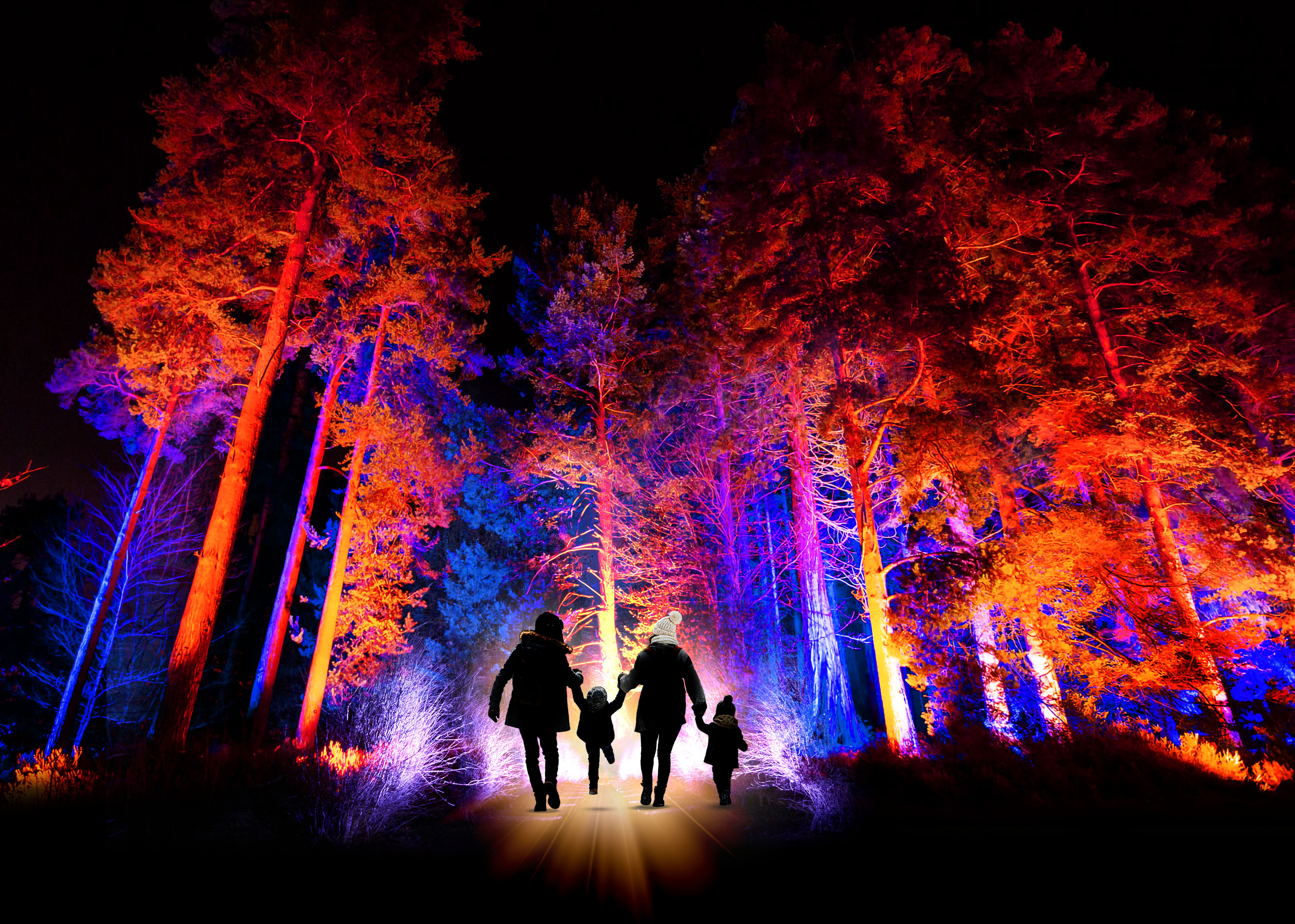 Electric Forest At Bedgebury