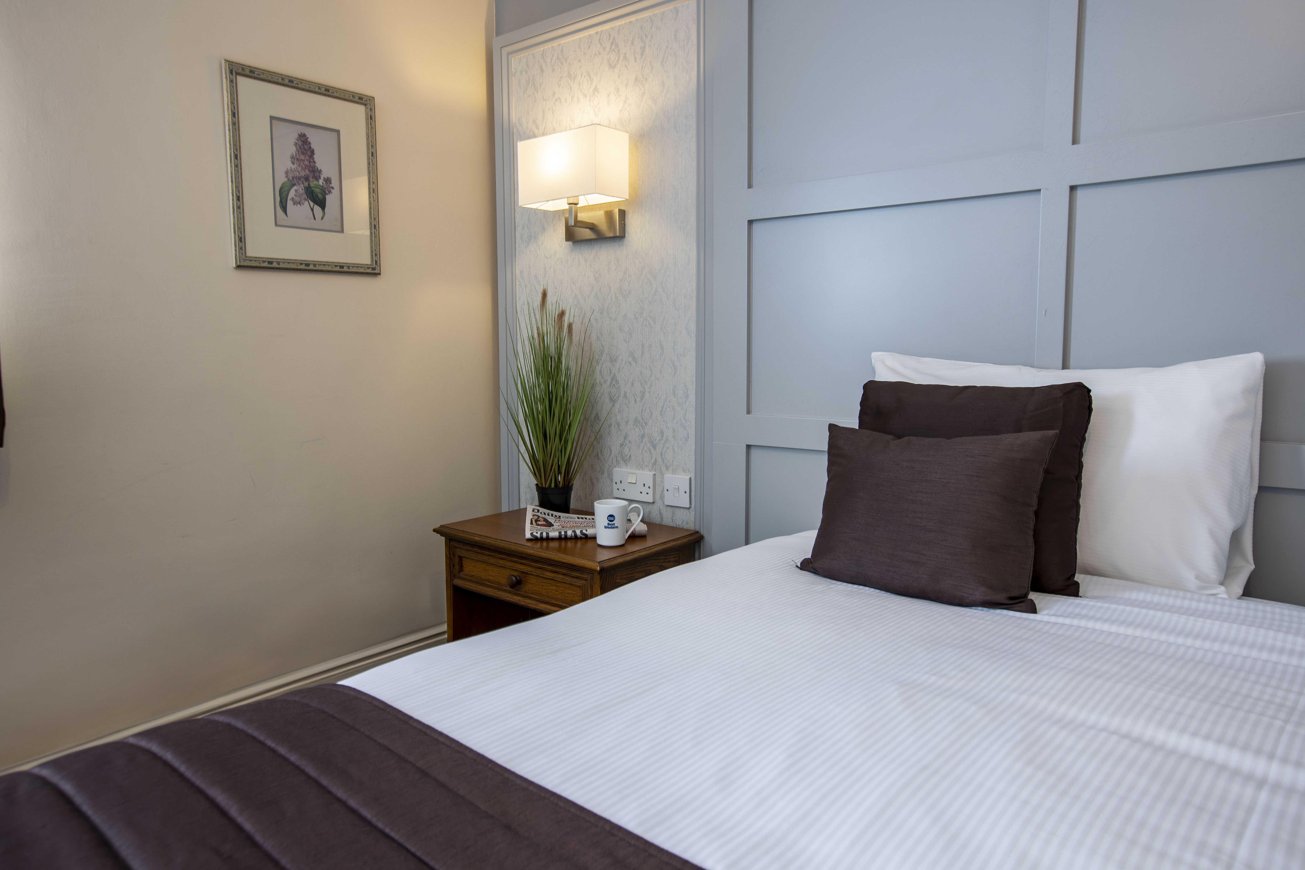 Kingsize Cosy