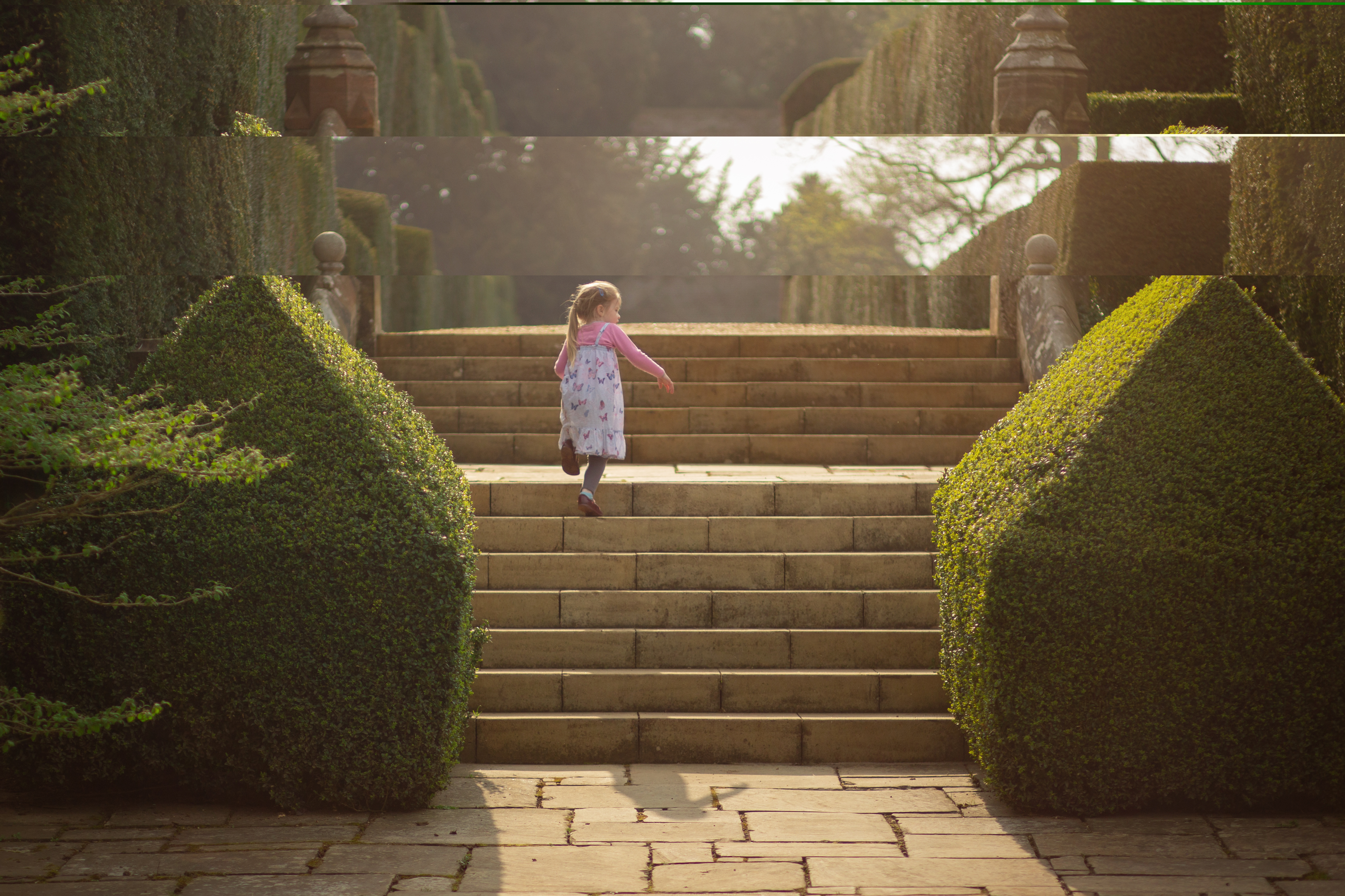 Banner Image (C) Georgina Edwards Photography Www.Georginaedwardsphotography.Co.Uk