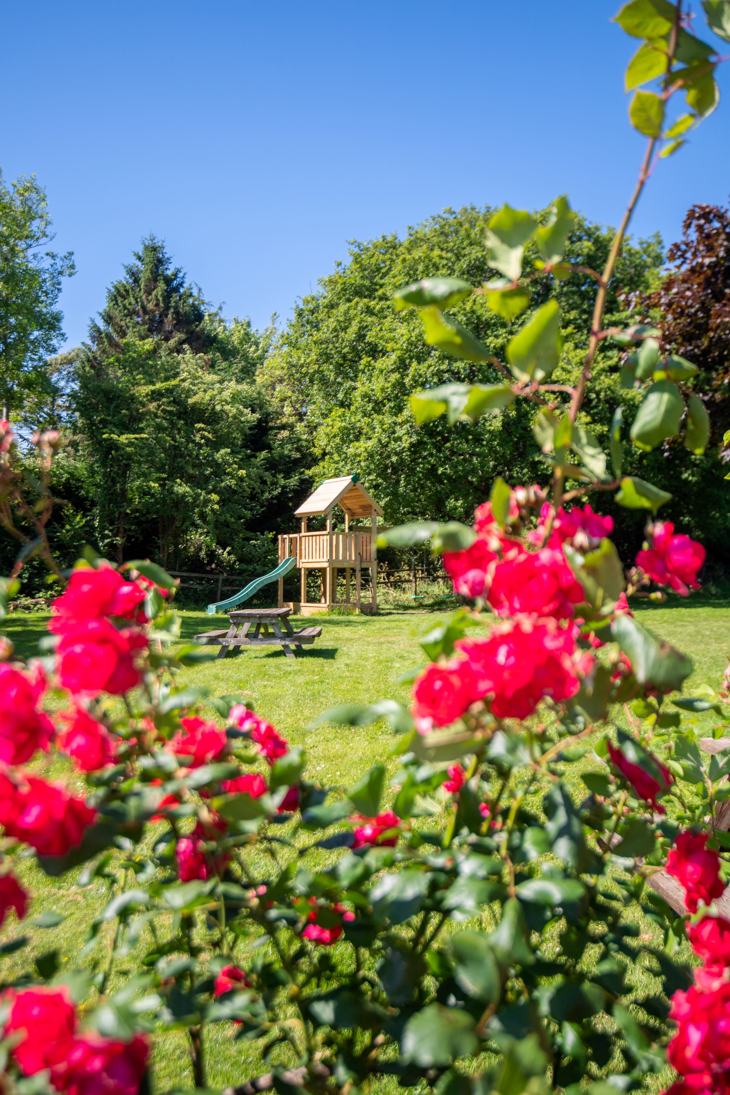 Play Equipment & Roses Low Res (1)