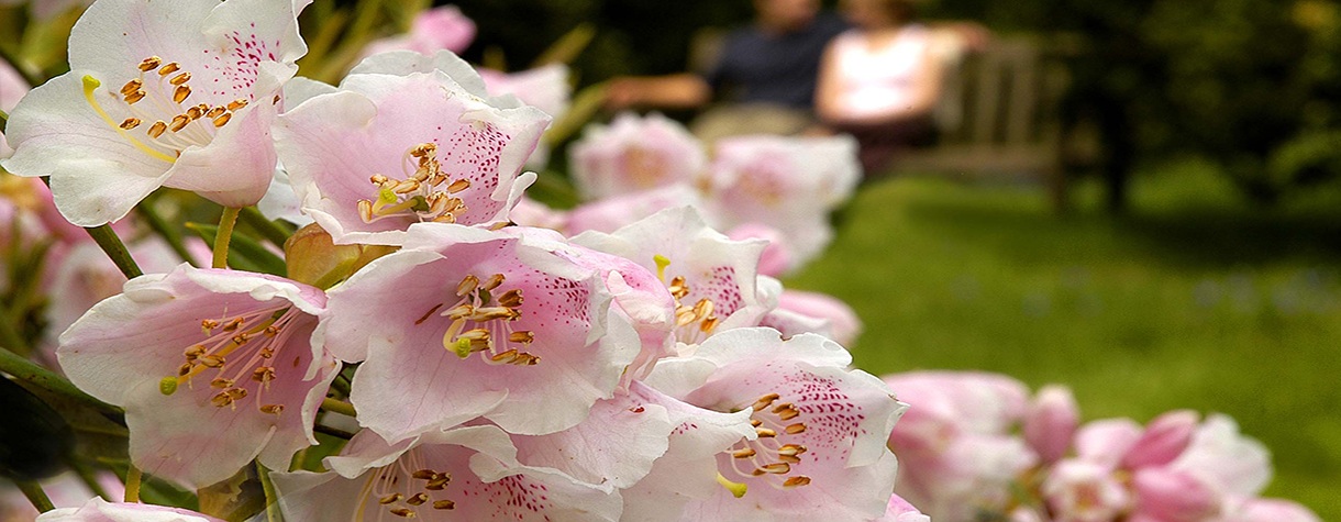 emmetts-garden.jpg