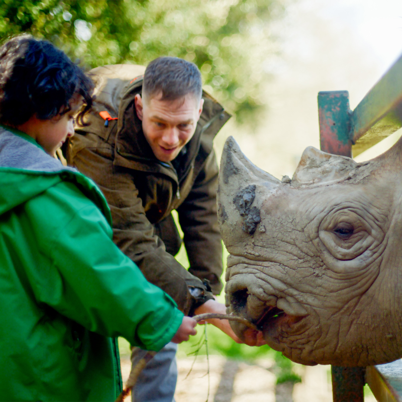 Port Lympne