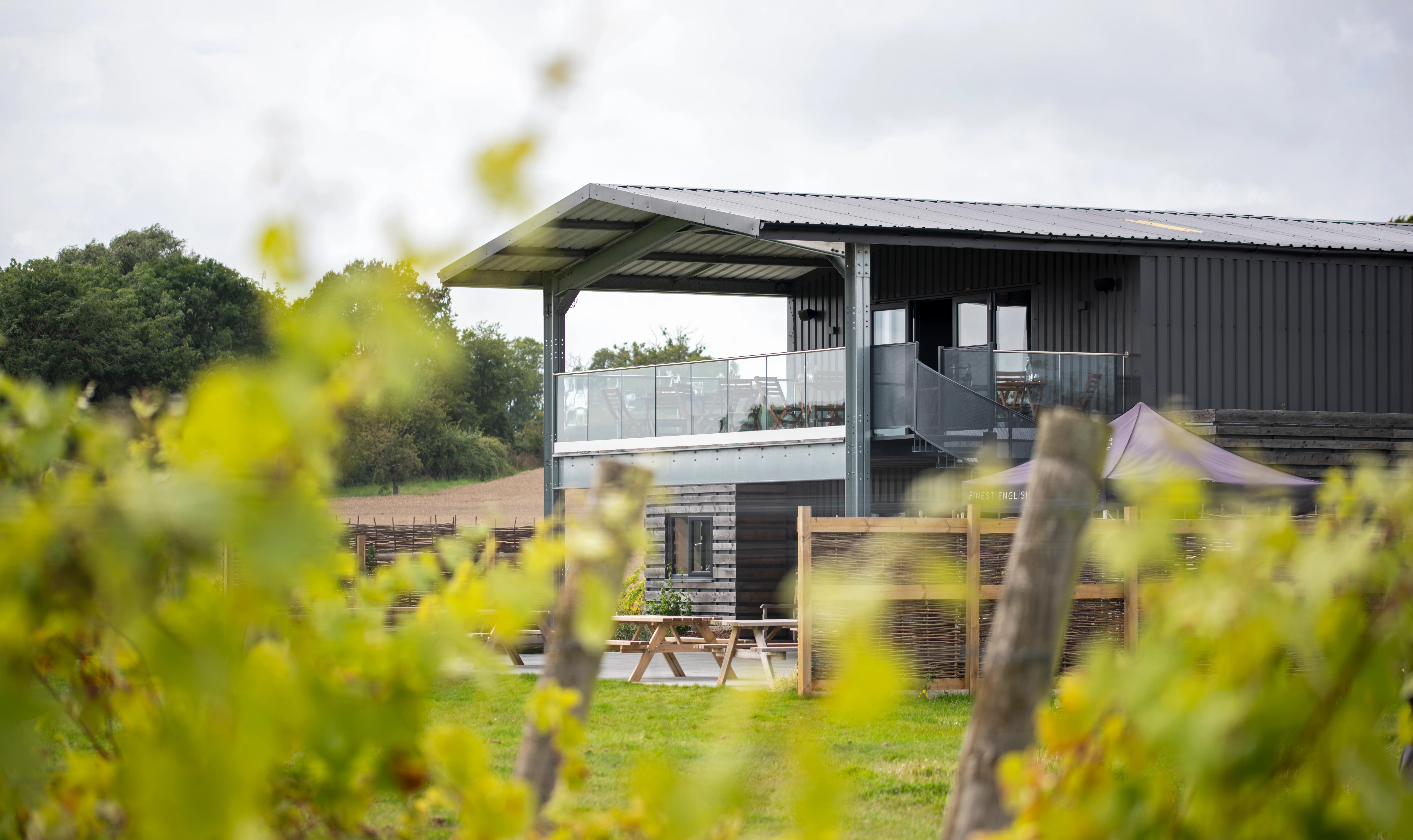 Woodchurch Building Vines (May 2026)