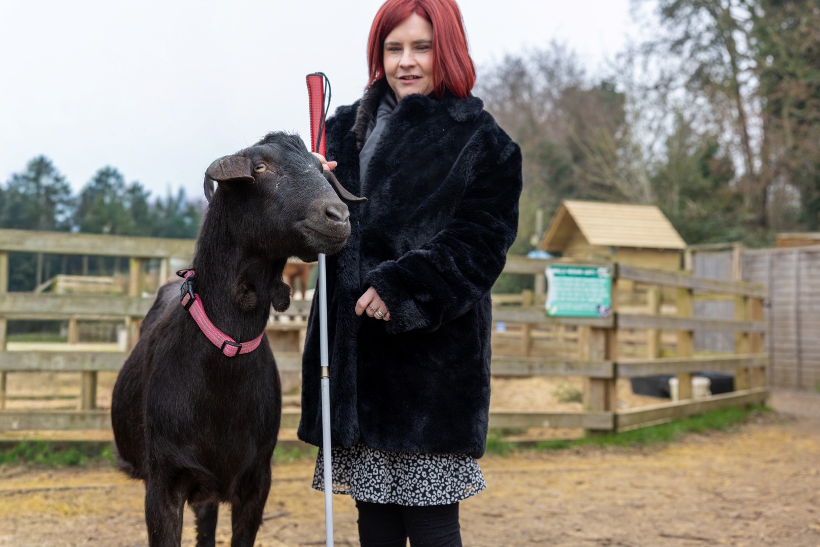 Quex Adventure Farm Park Credit @Visitthanet