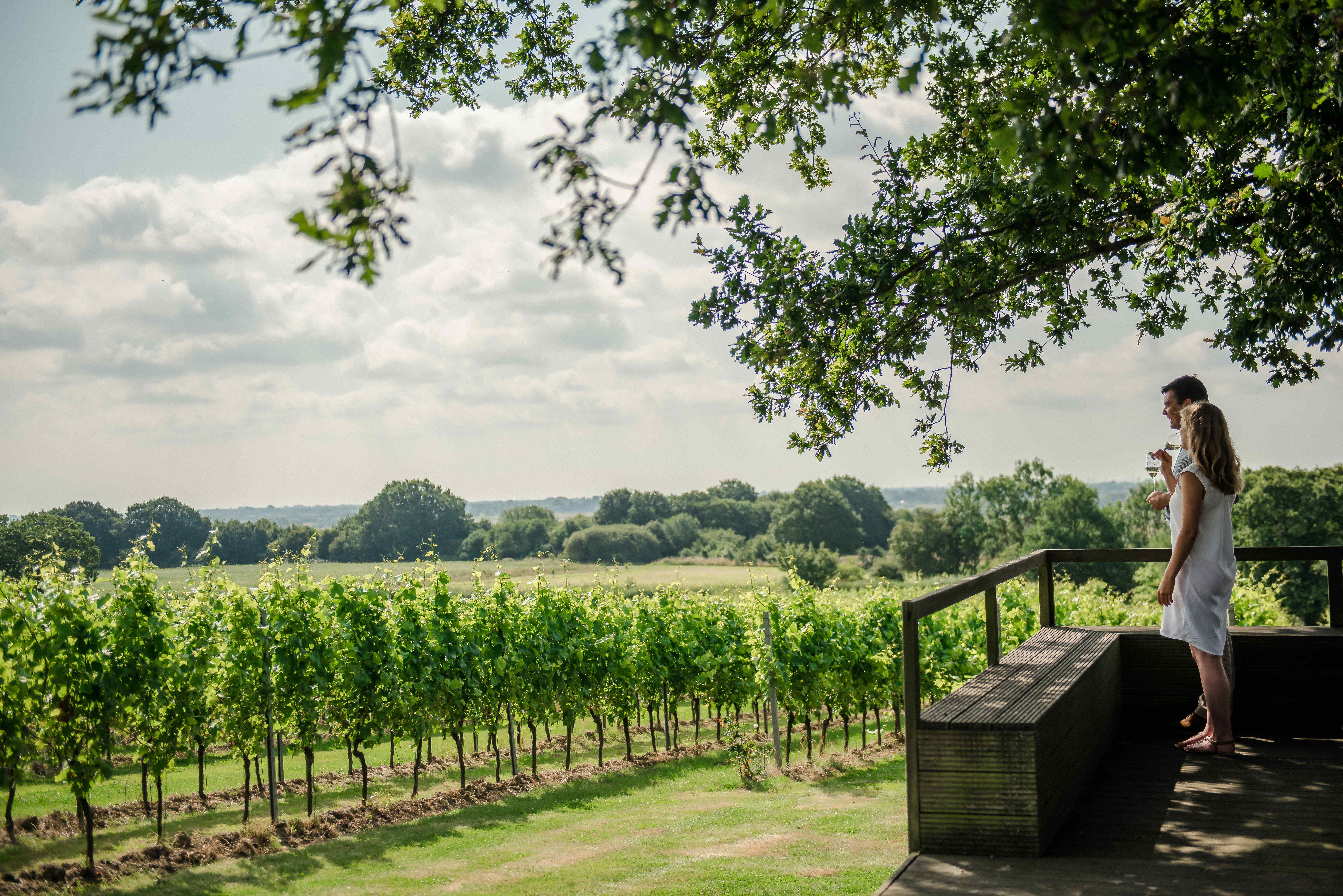 Gusbourne 1615 Edit