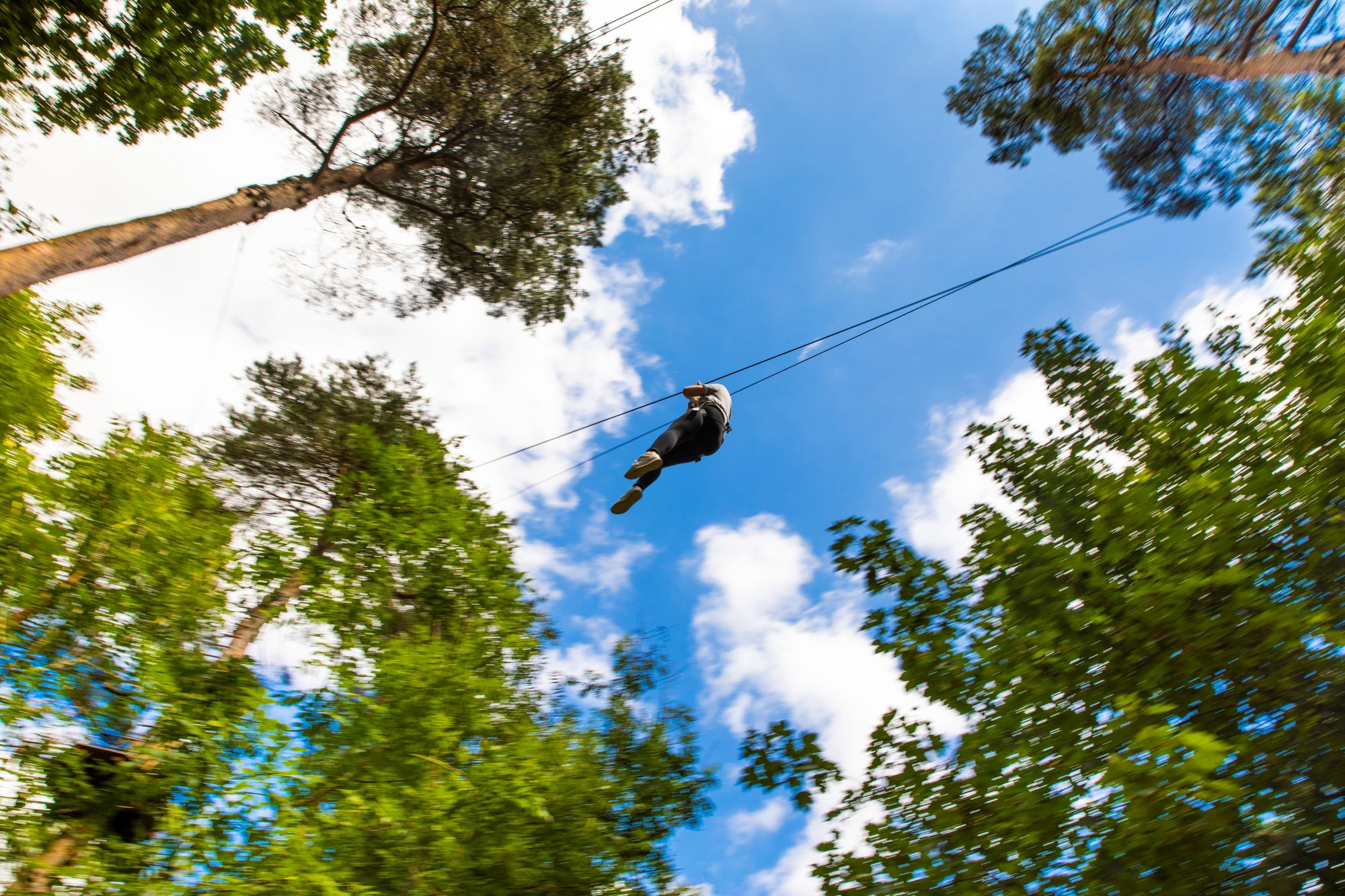 Summer Zipline