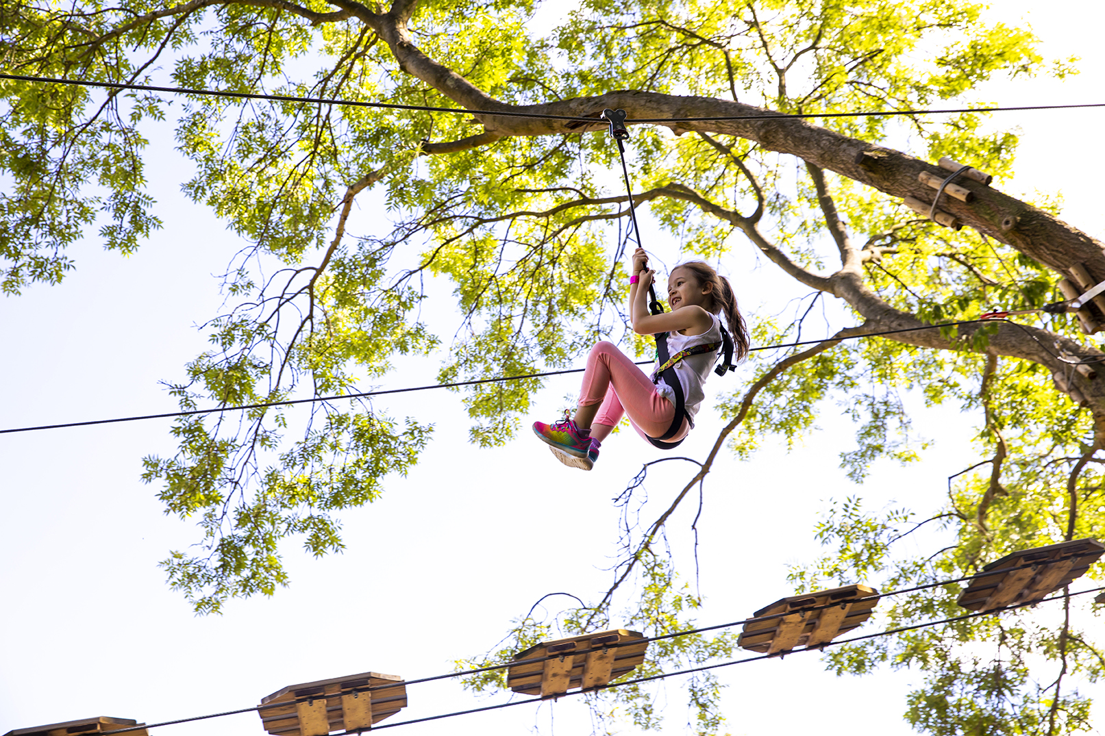 Go Ape Banner 2