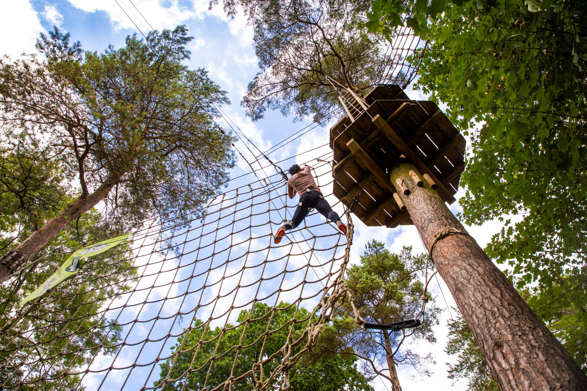 Go Ape Tarzan Net