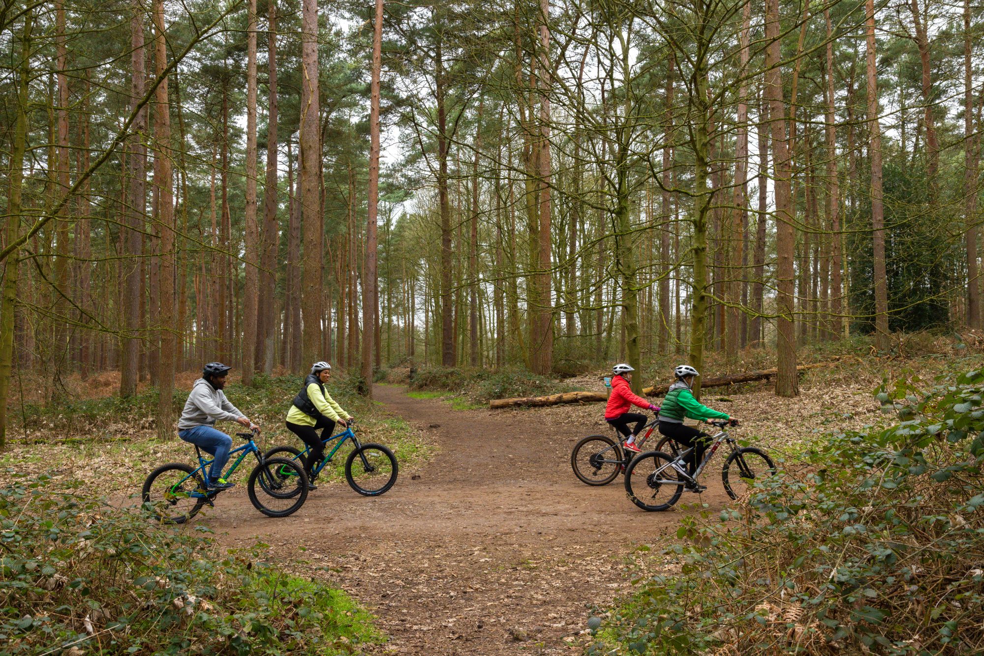 Forest Bikes
