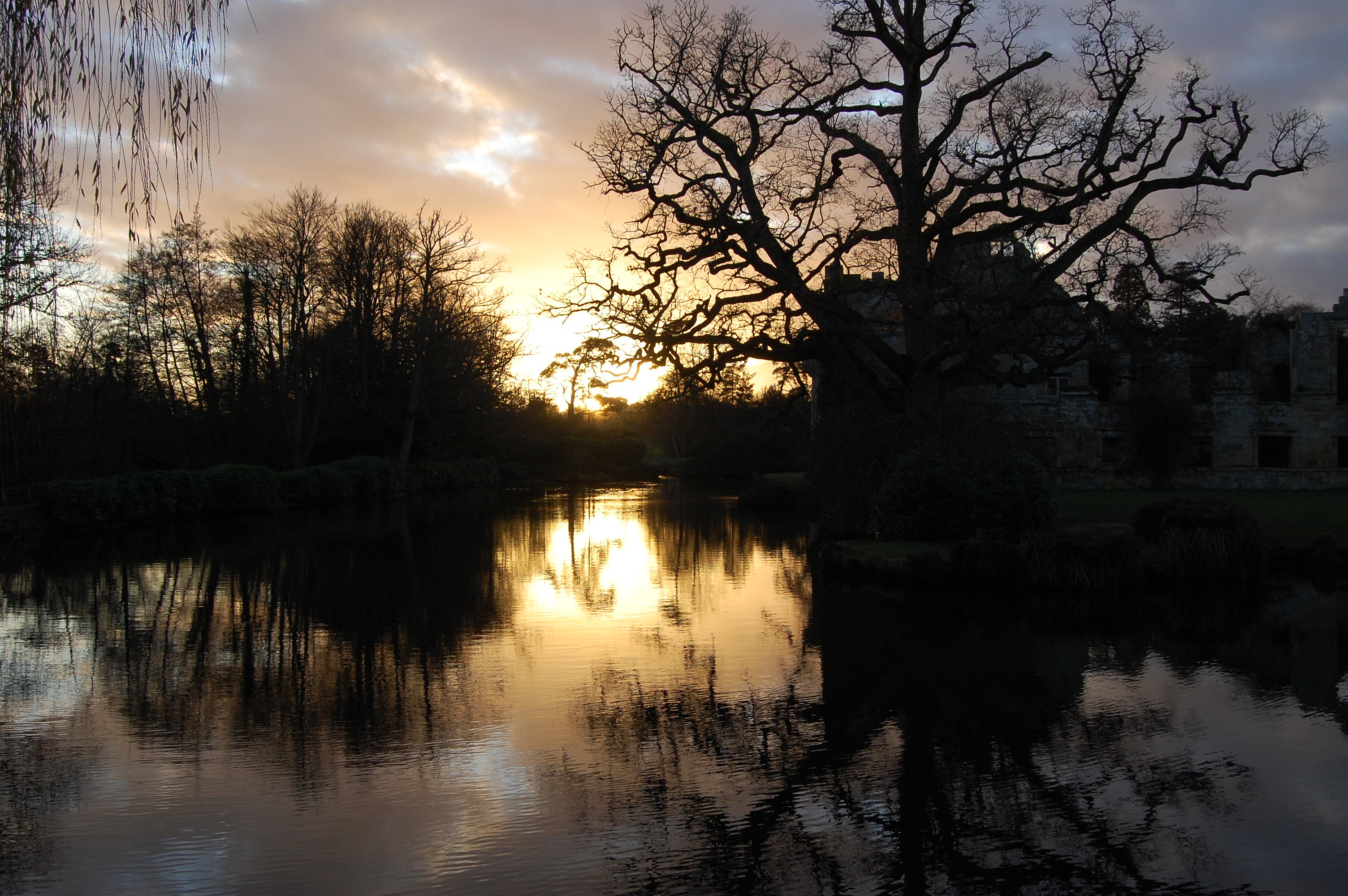 scotney-castle-picture-290.jpg