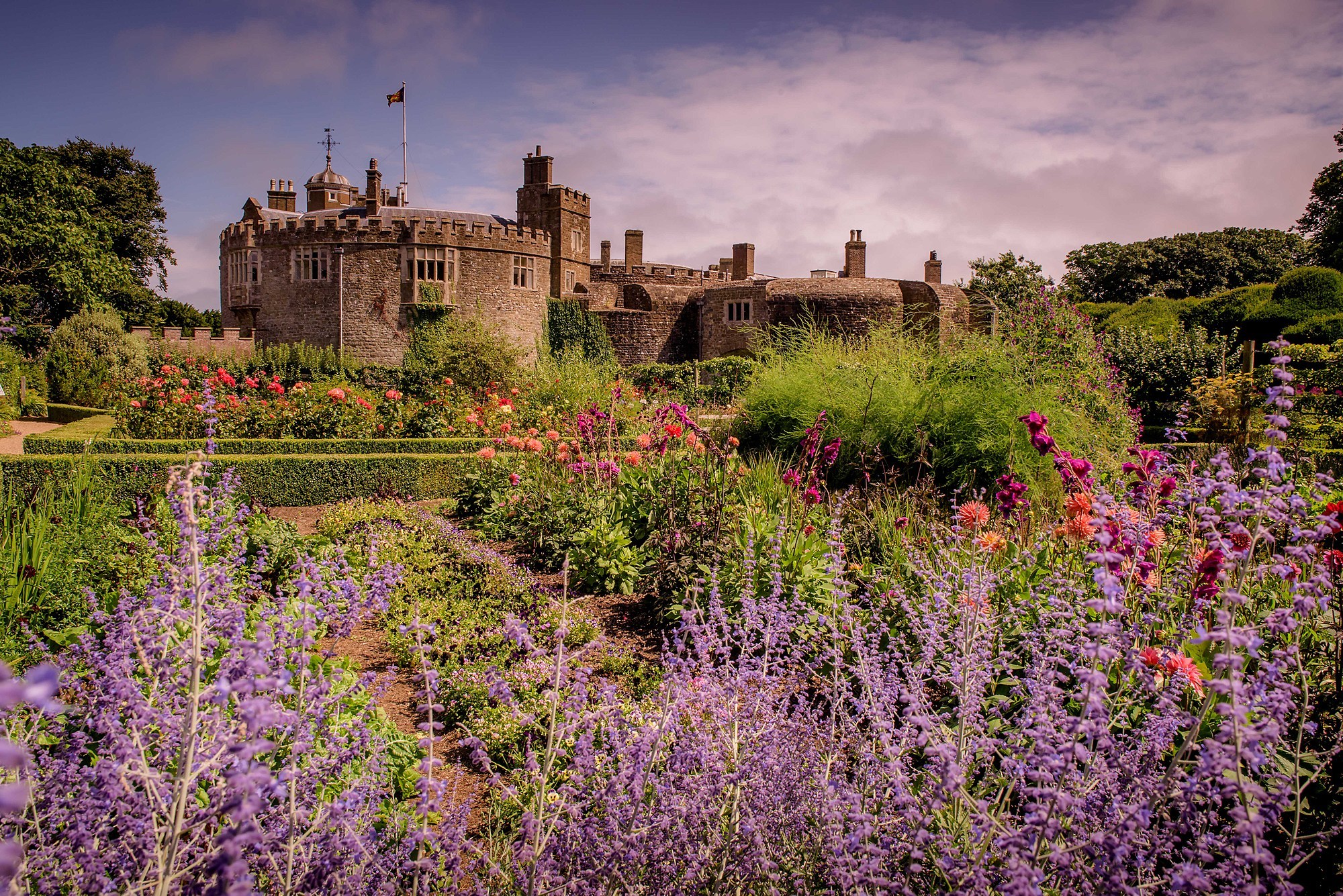 Walmer Castle's gardens in full bloom with castle in the background