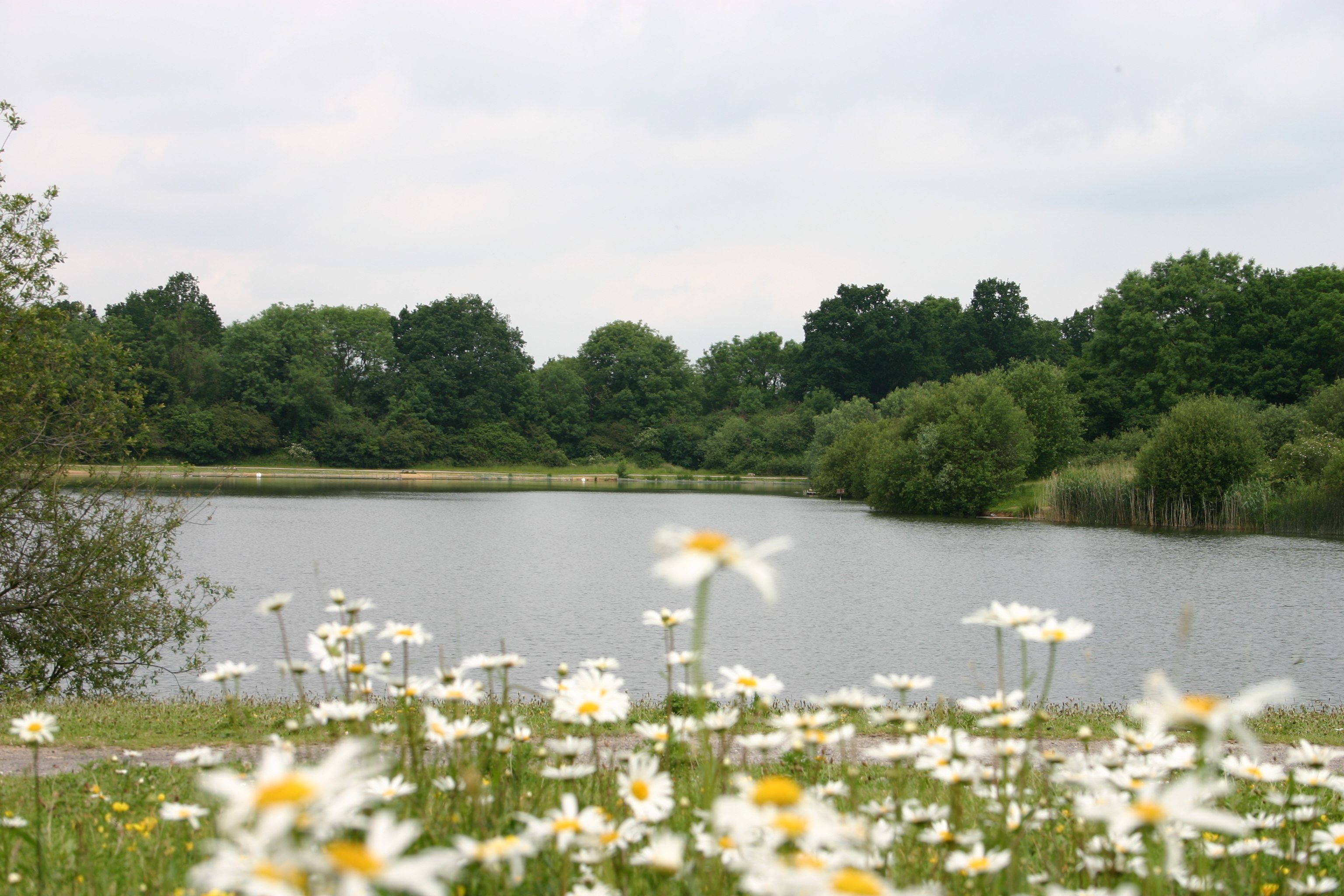 haysden-country-park1.jpg