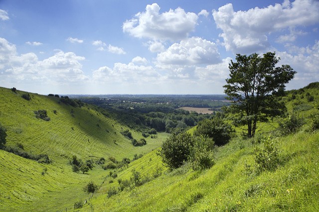 North Downs Way DevilsKneading Trough Med (c).jpg