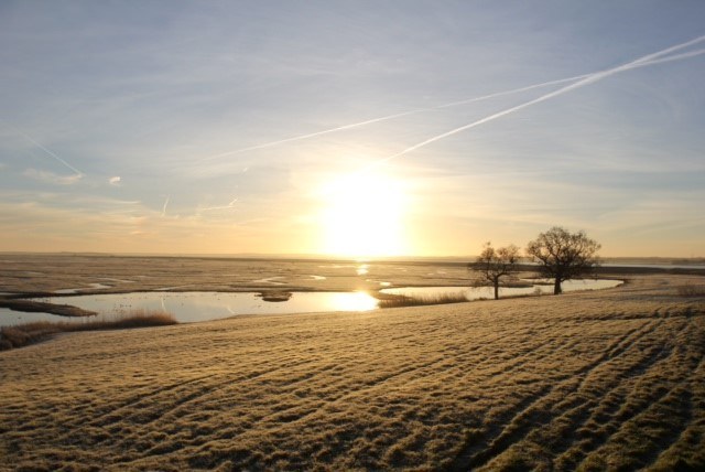 morning-view.jpg