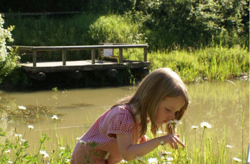 kent-wildlife-trust-tyland-barn-visitor-centre-3.jpg