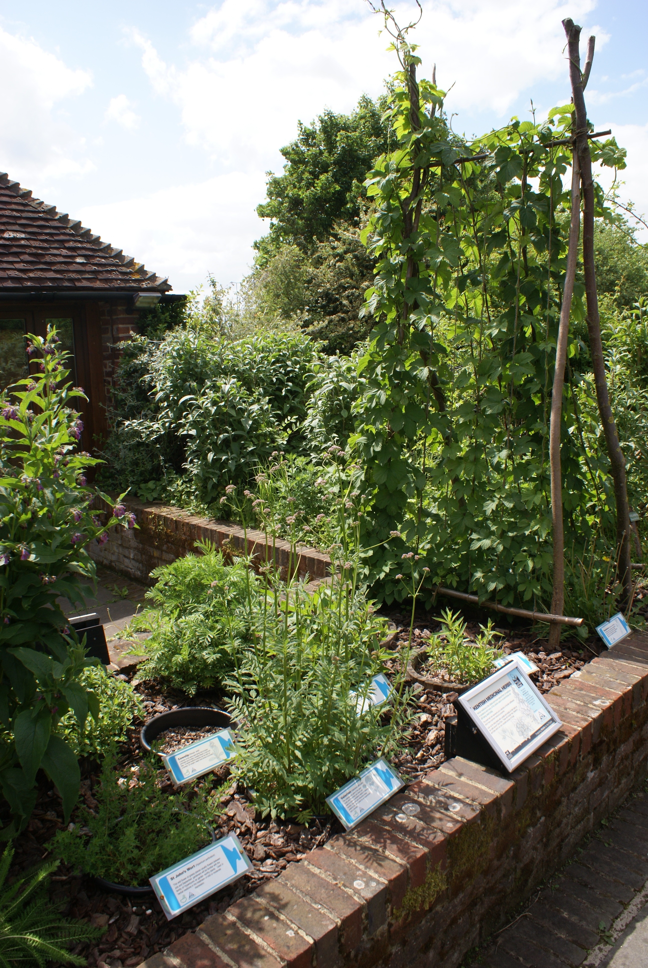 kent-wildlife-trust-tyland-barn-visitor-centre-4.jpg