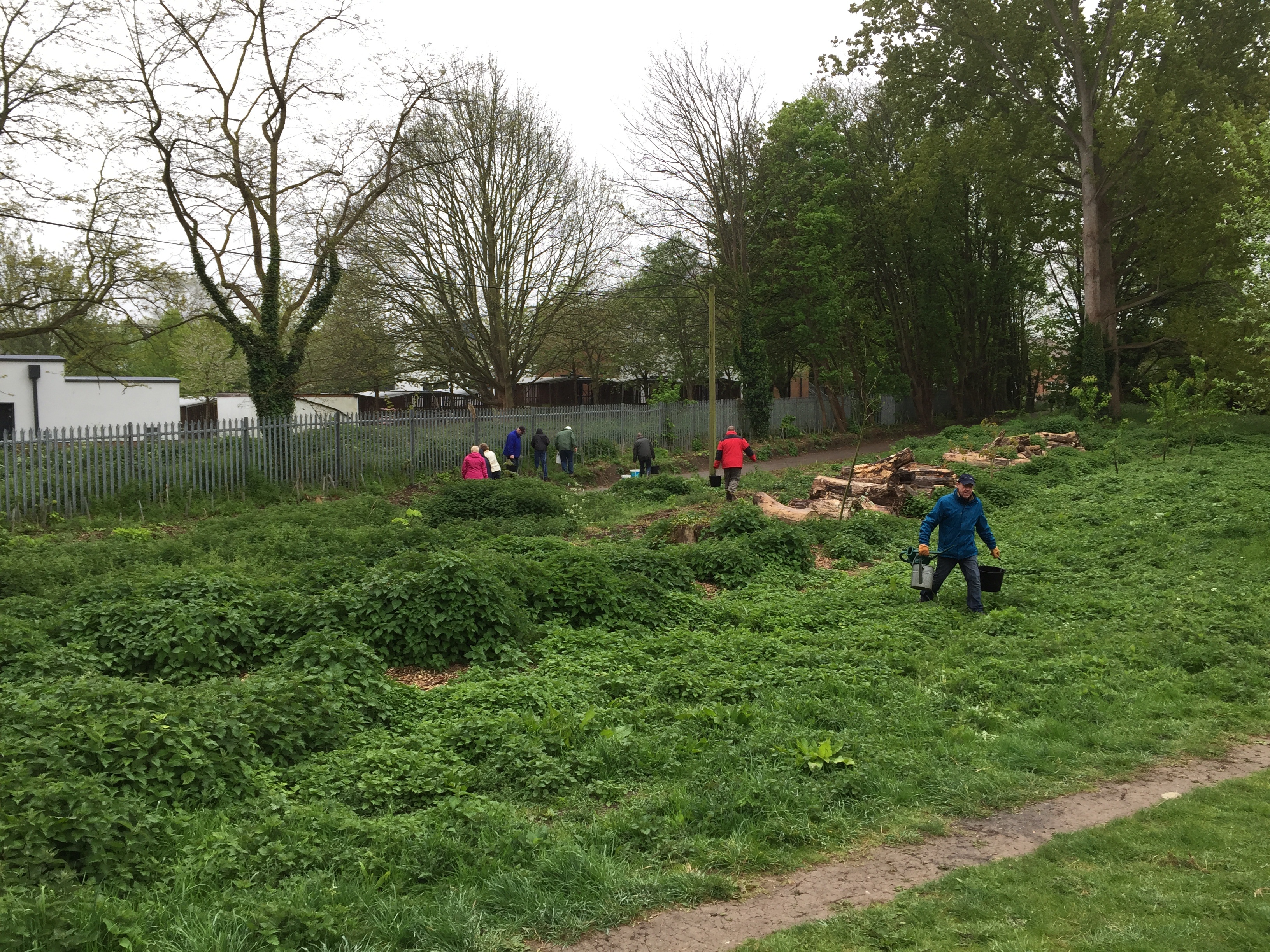 Clare-Lake-tree-planting-1.JPG