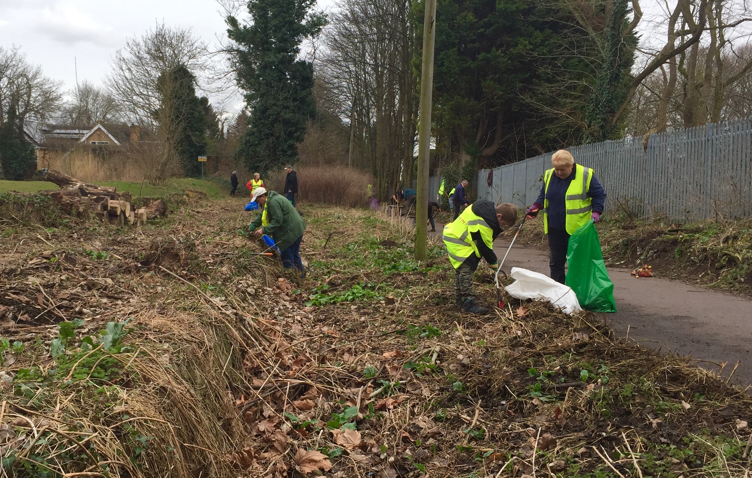 Clare-Lake-Volunteer-activity-2.jpg