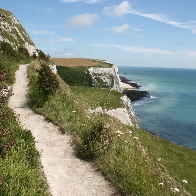 White Cliffs (1).jpg