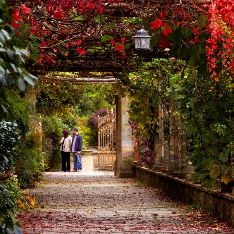 Hever autumn.jpg