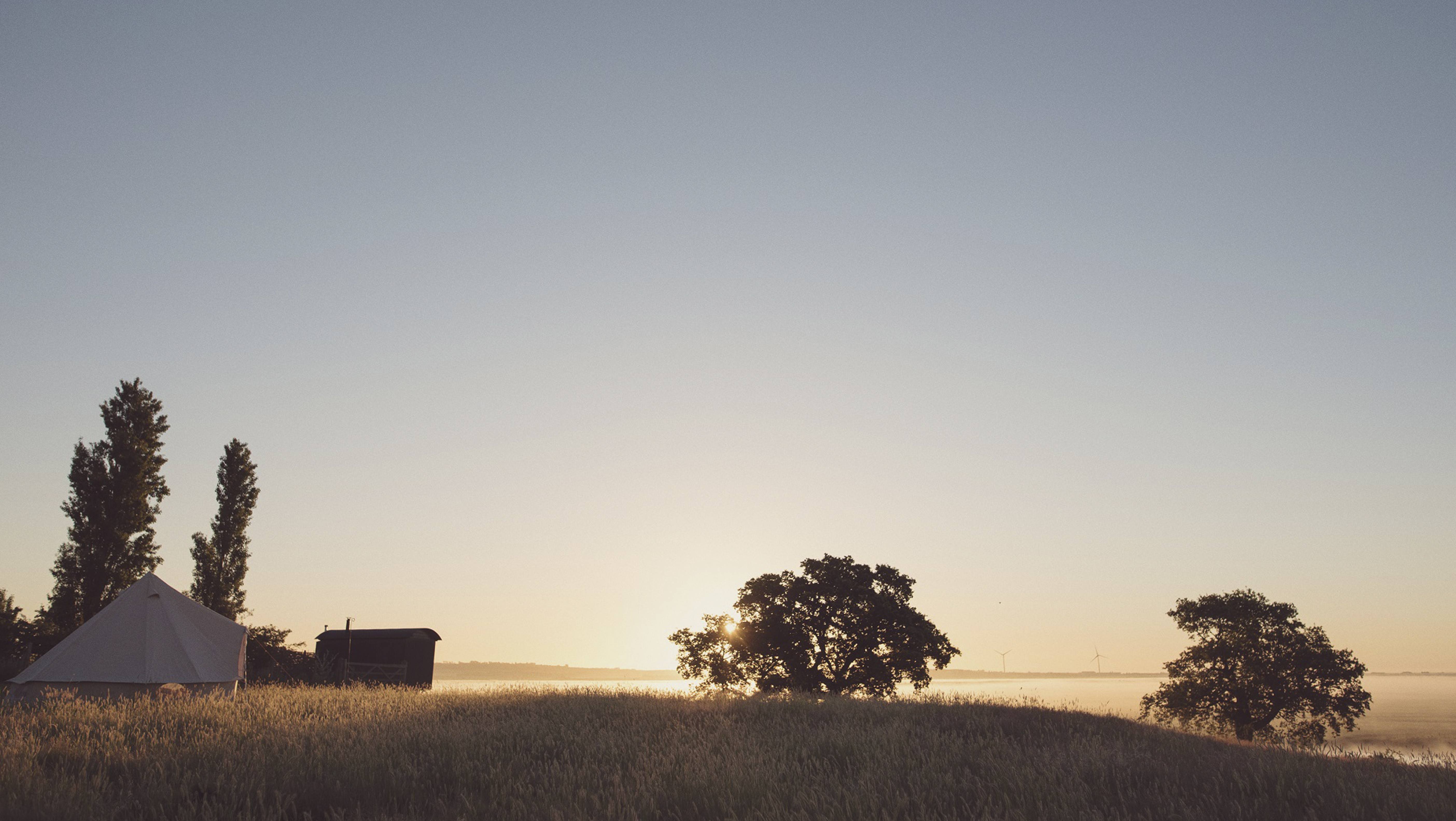 Banner - Elmley.jpg