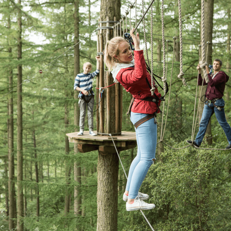 go ape.png