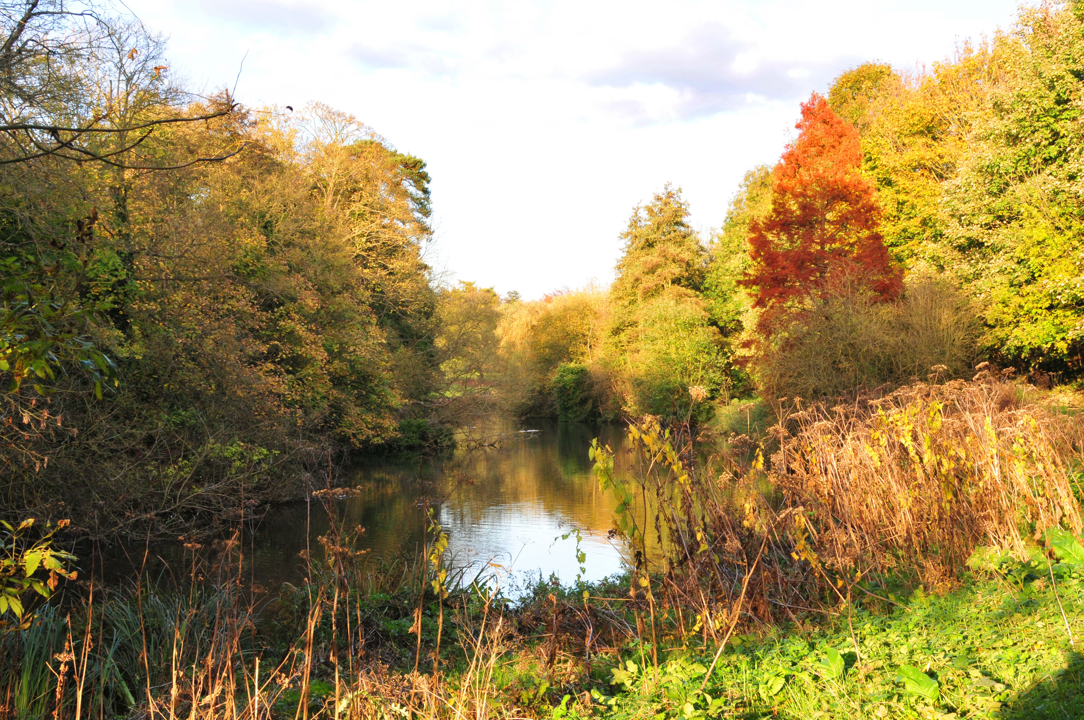 manor-park2.jpg