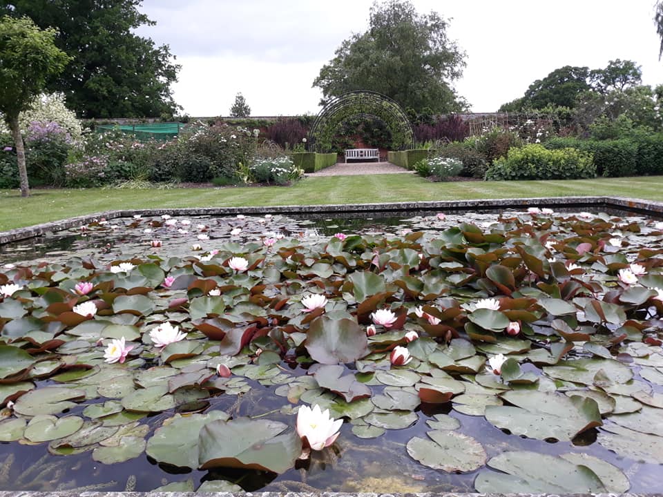 Belmont Pond