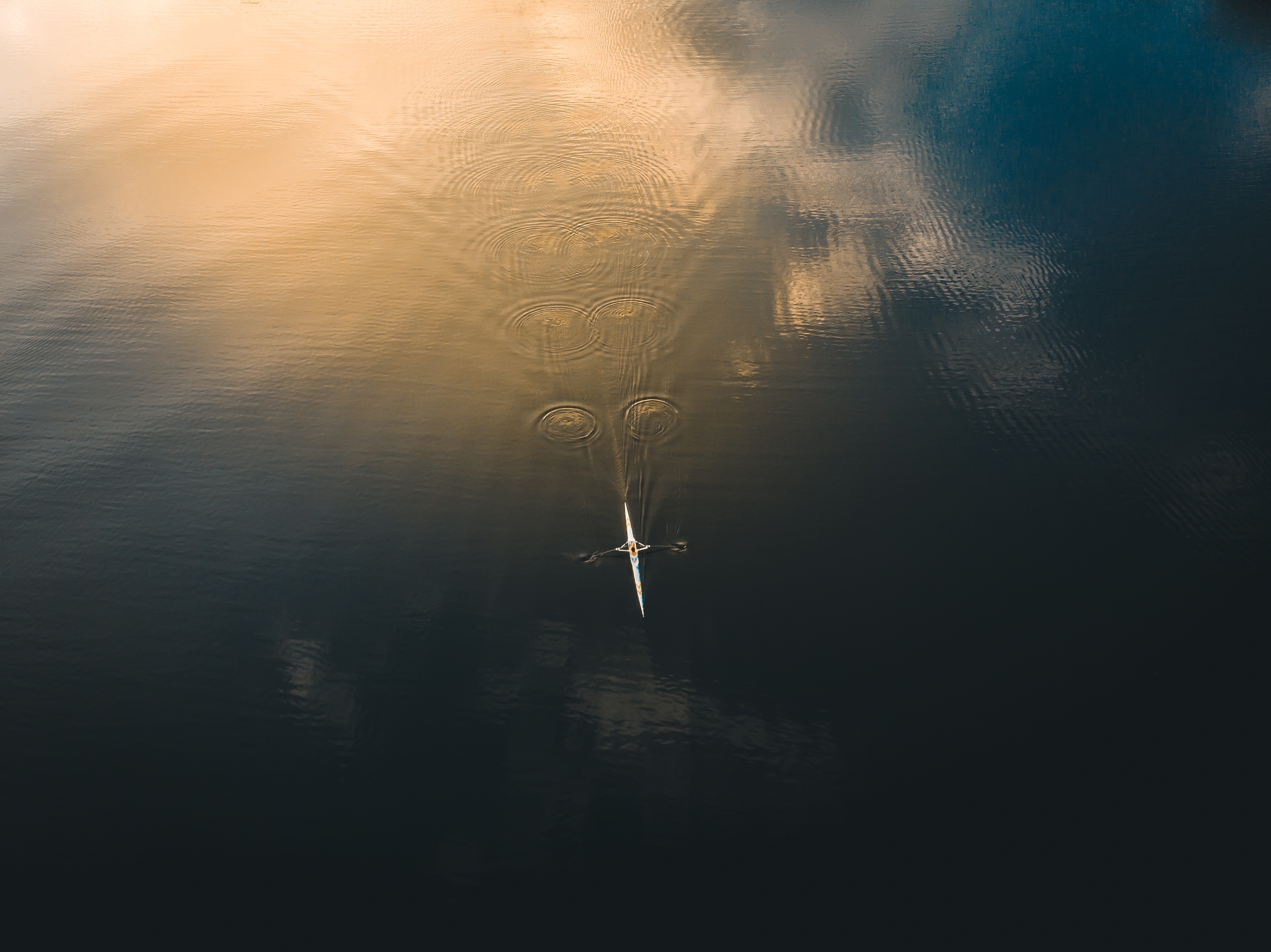 Rower 0132