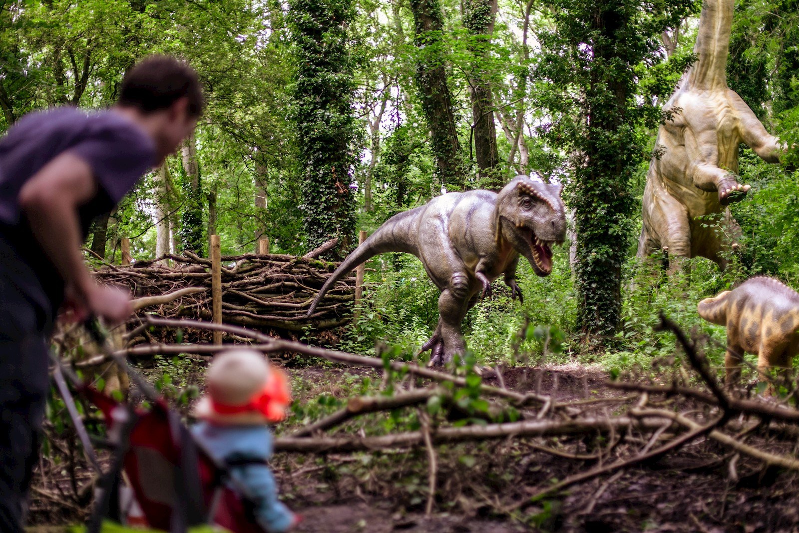 Adult and child at Port Lympne's Dinosaur Forest