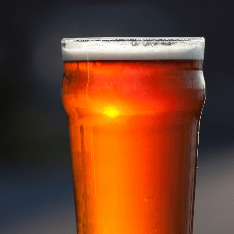 Shepherd Neame 2