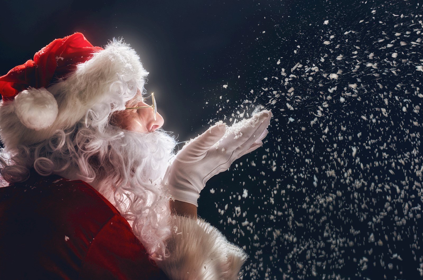 f5c4a6b1-f6e7-4f88-9688-255d4a02c211-DINE WITH SANTA IMG.jpg