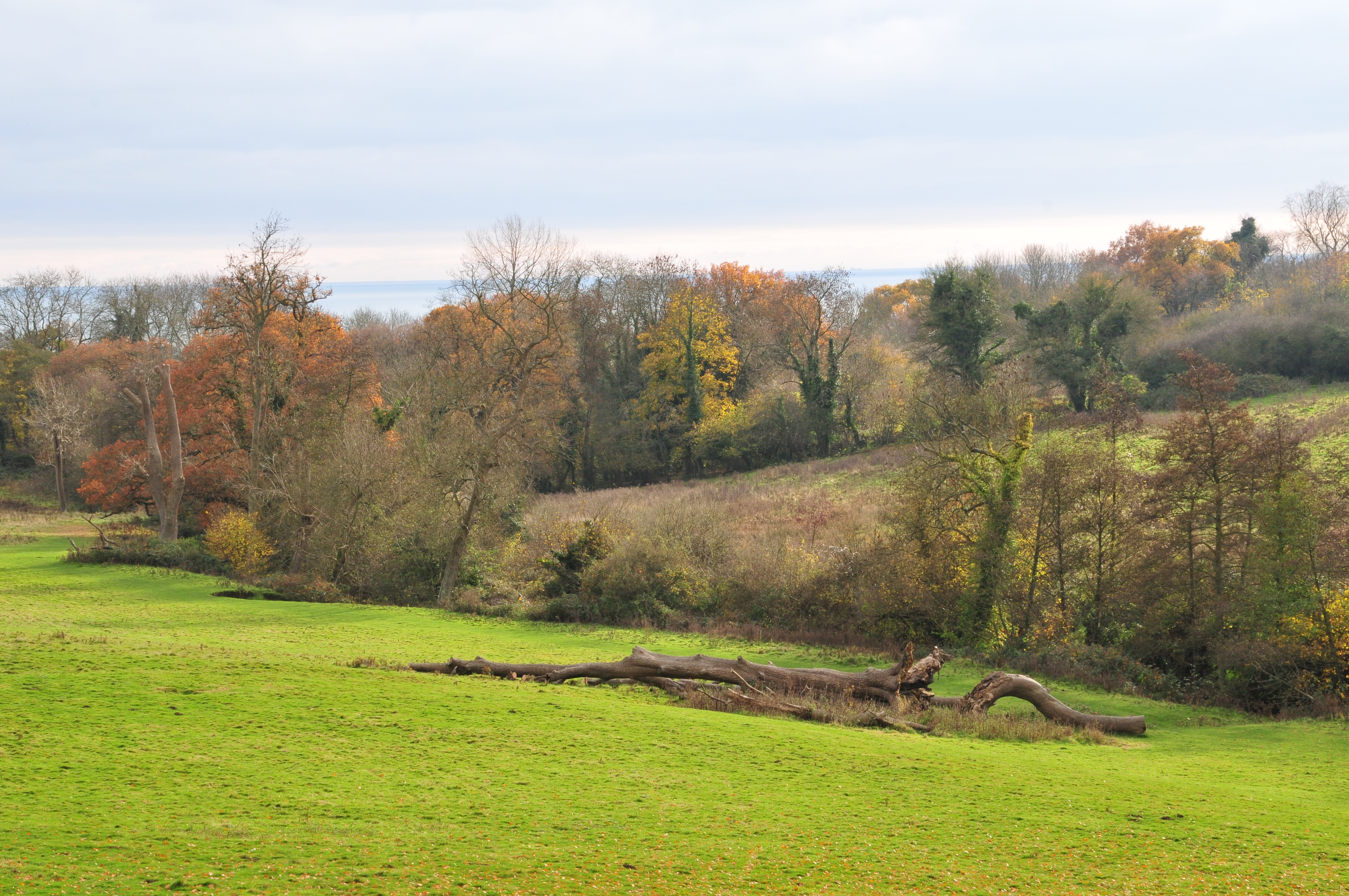 brockhill-country-park-3.jpg