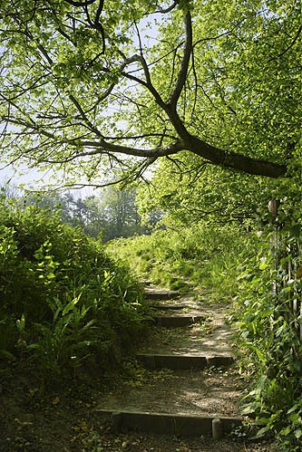 brockhill-country-park-4.jpg