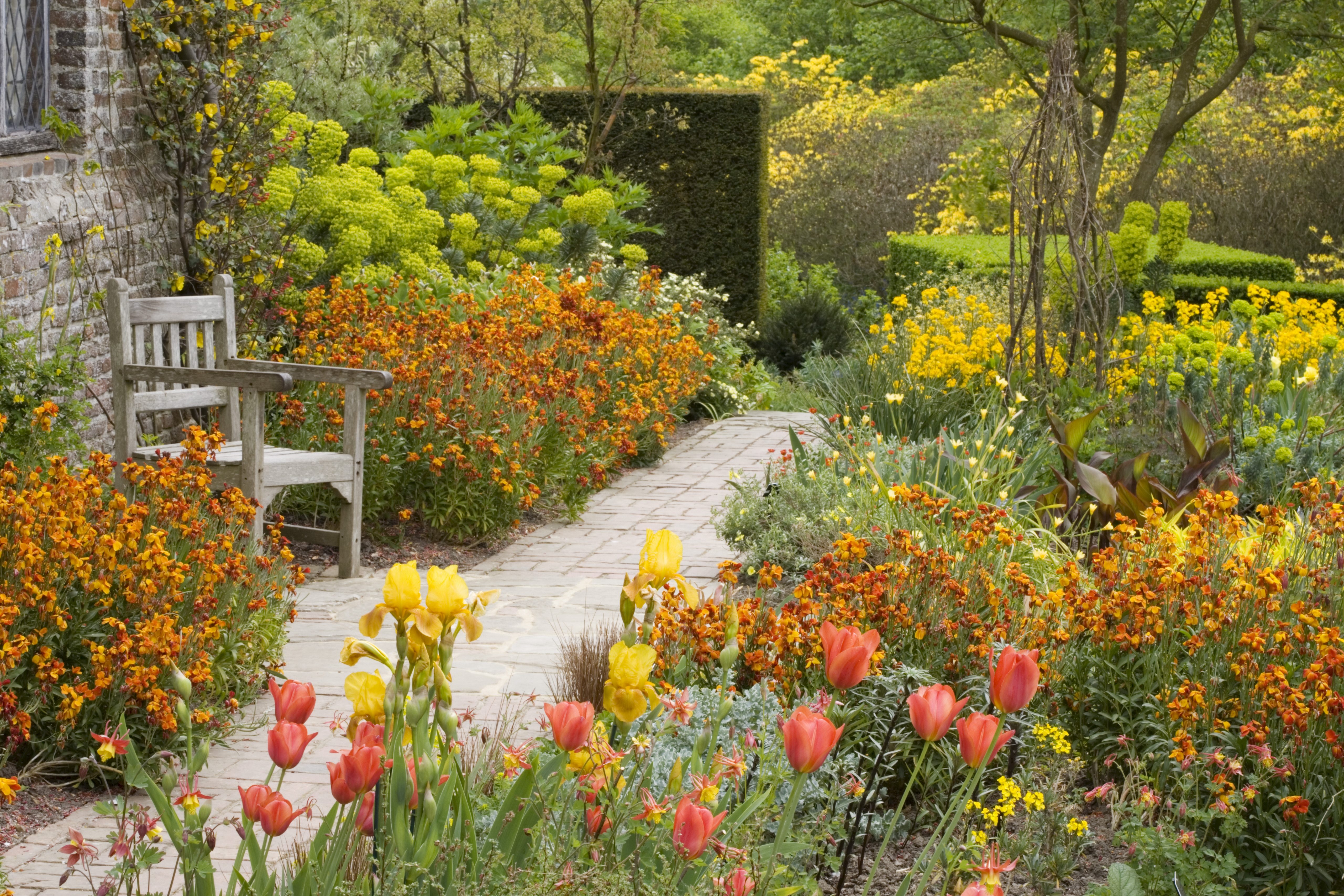 siss-cottage-garden-ntpl_159450-jonathan-buckley-high-res_1.jpg