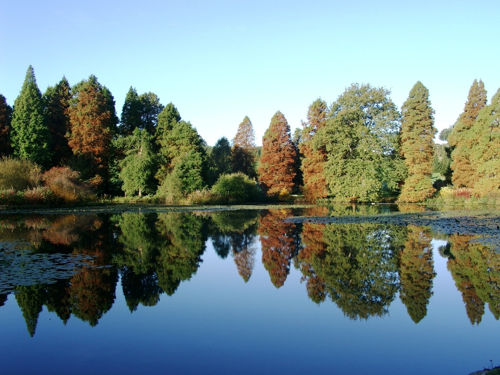 Autumn 06 0018.JPG