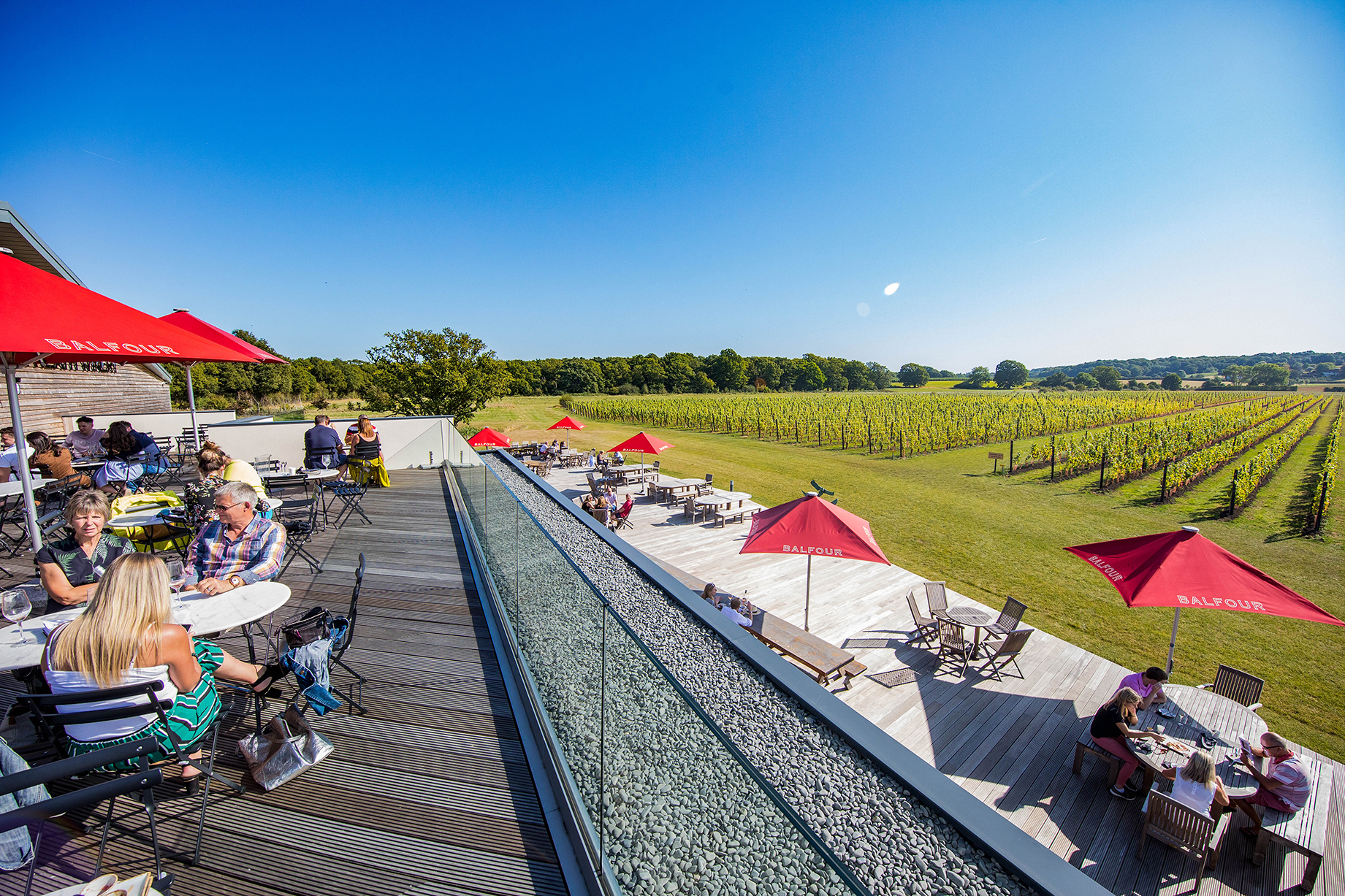 Visitors drinking wine on terrace overlooking vineyard