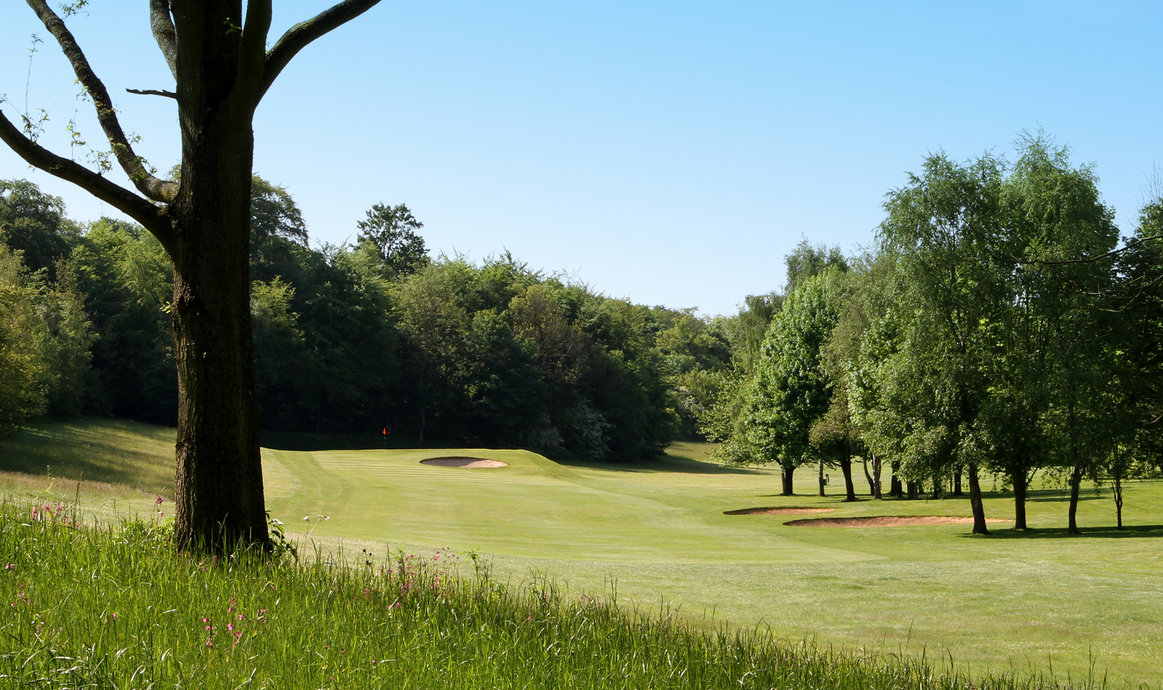 2020 Fav Golf Club 15052014