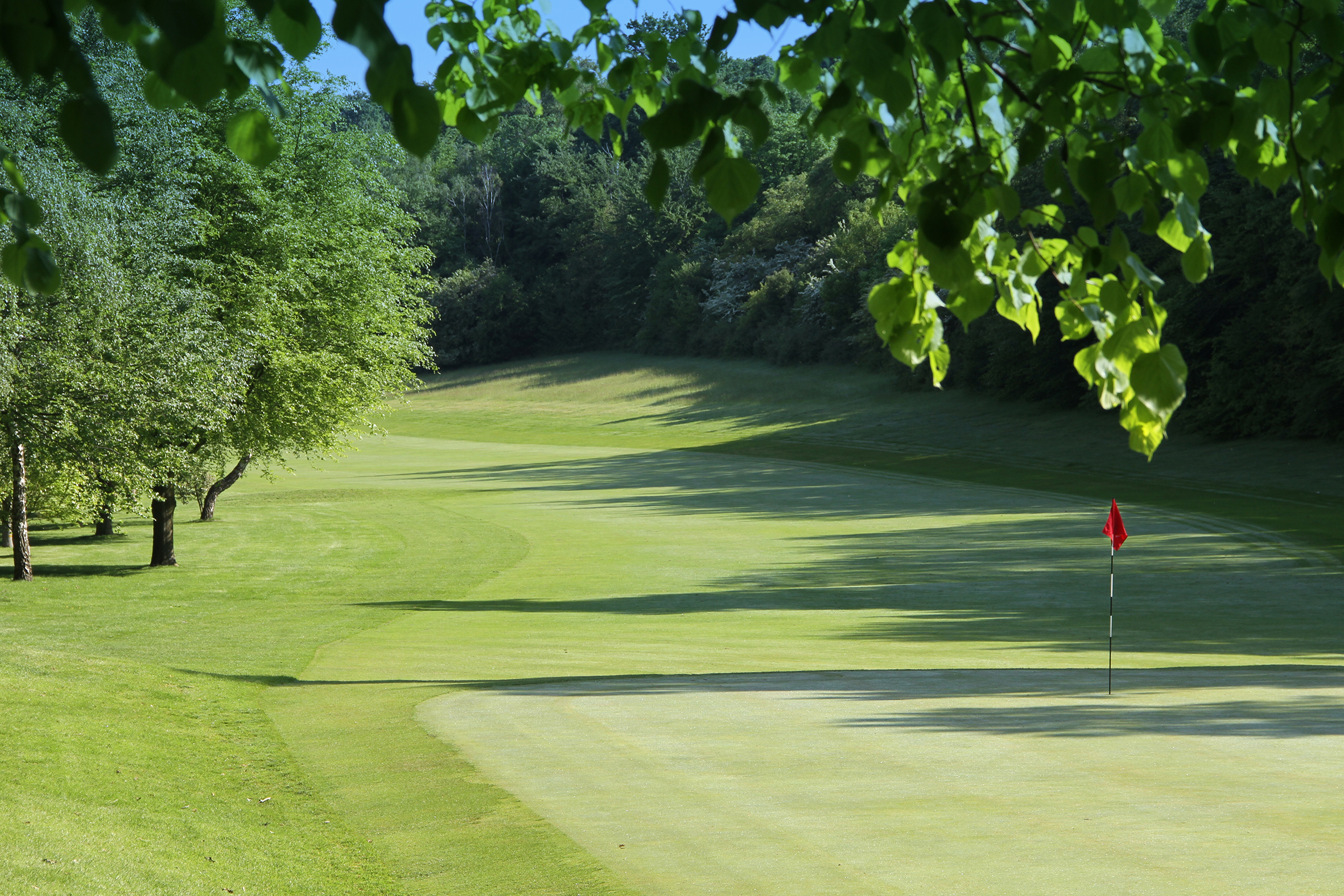 Fav Golf Club Green