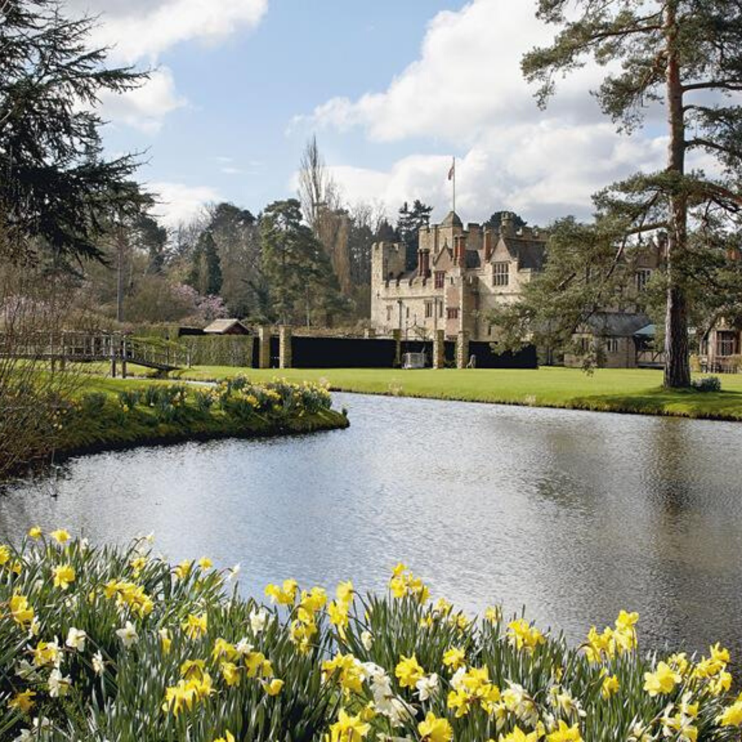 Daffodils next to the moat in the Hever Castle grounds