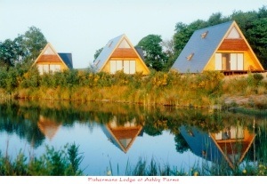 ashby-farms-lodges.jpg