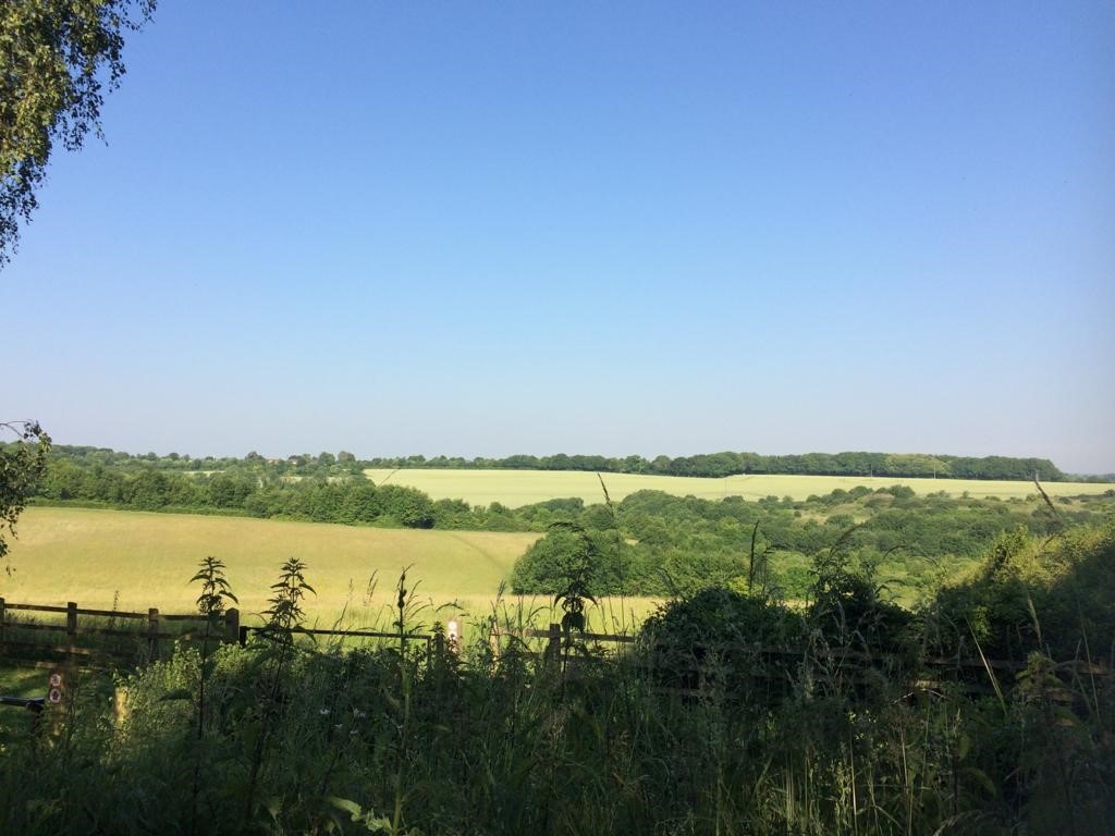 Capstonevista