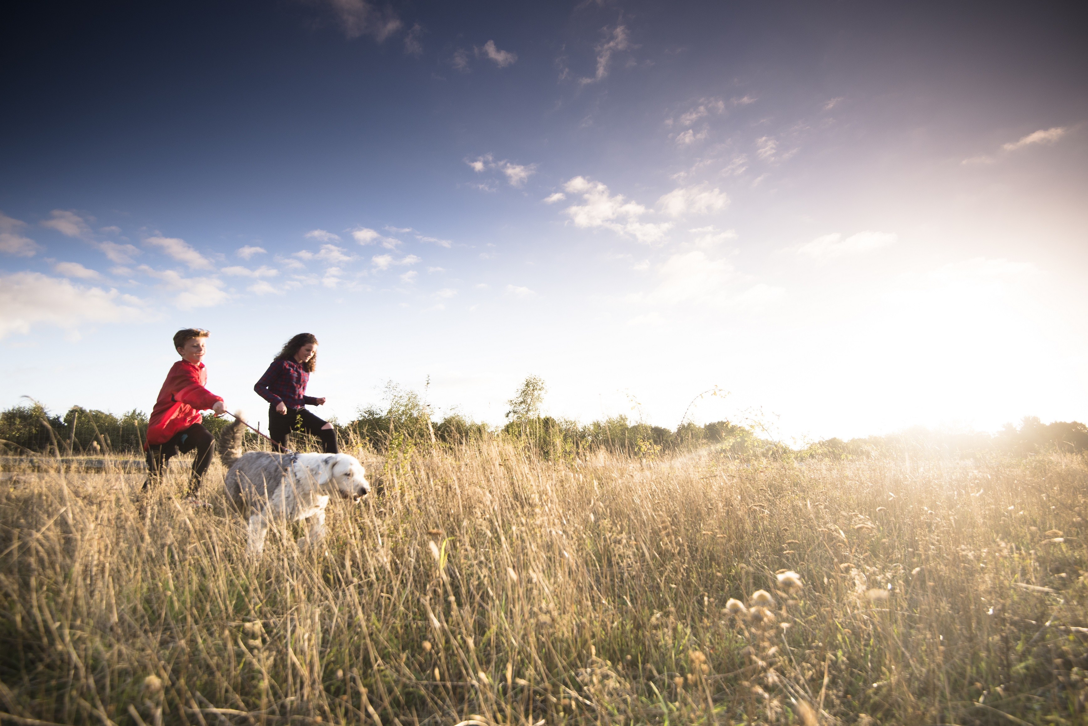 Two children running through a field with a grey and white dog